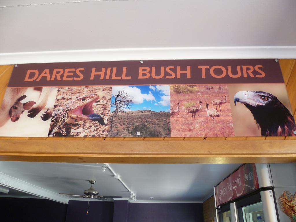 Norfolk Motor Inn Adelaide Luaran gambar